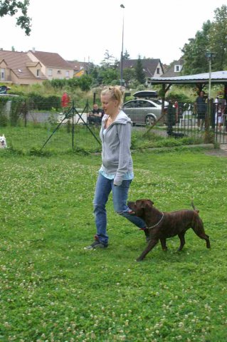 obeissance 2014-08-02